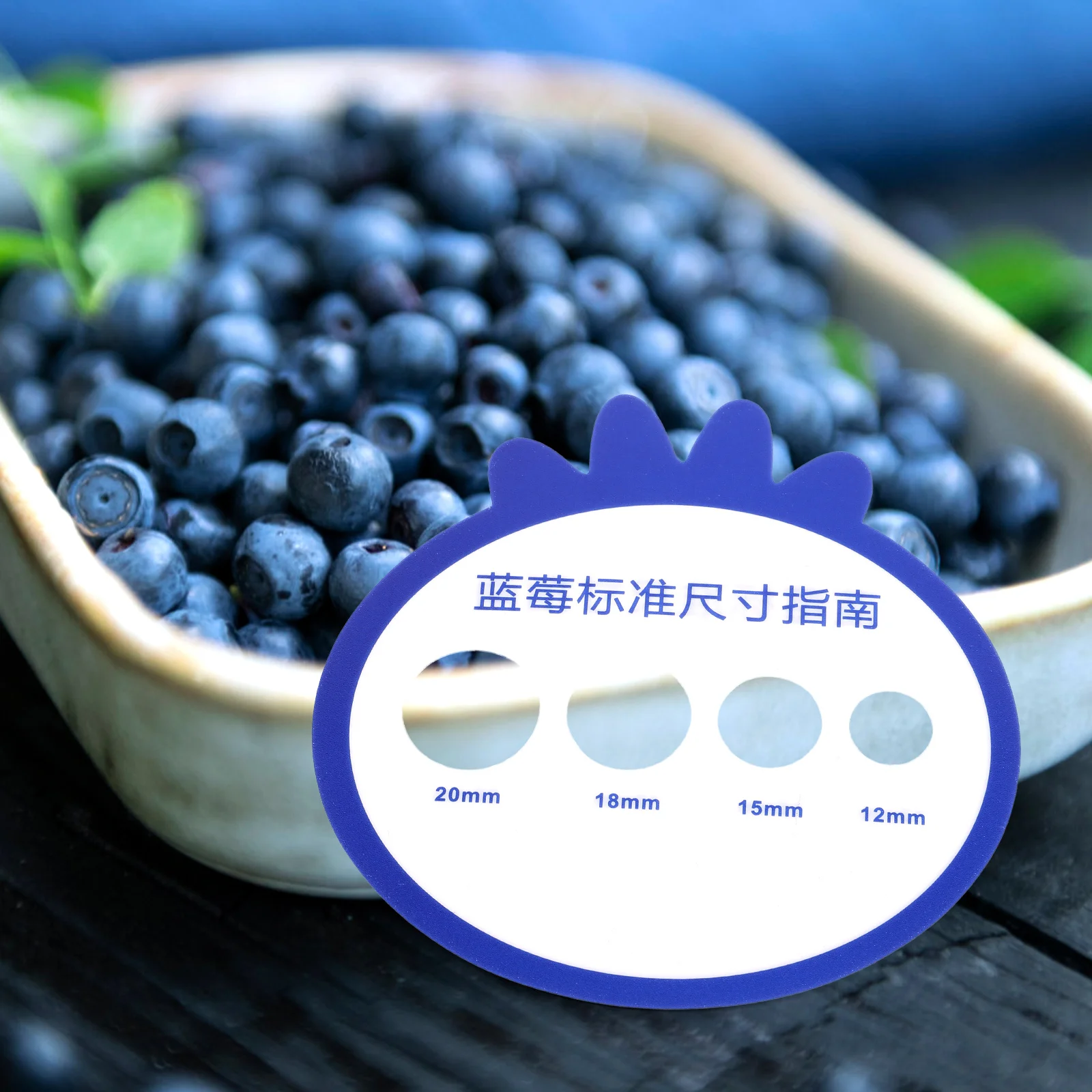 12pcs Blueberry Diameter Measuring Card Circle Fruit Gauge Tool 10 5x10 5cm Plastic Material Durable for Farms Markets Grading
12pcs Blueberry Diameter Measuring Card Circle Fruit Gauge Tool 10 5x10 5cm Plastic Material Durable for Farms Markets Grading