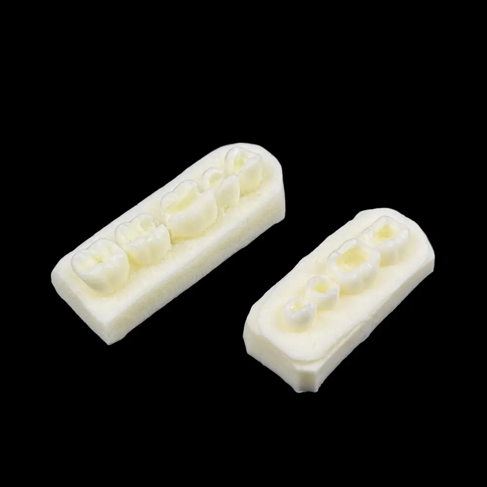 3pcs/set Dental Implant Practice Model Dental Filling Model Dental Practice Teaching Research Examination Education
3pcs/set Dental Implant Practice Model Dental Filling Model Dental Practice Teaching Research Examination Education
