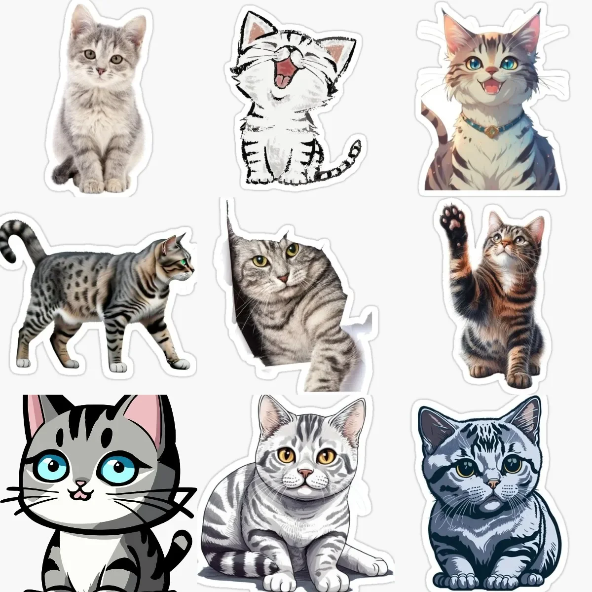 Cute Cat American Shorthair Pets PVC Personalized Stickers for Decorate Window Fridge Car Van Wall Van Helmet Decal Accessories
Cute Cat American Shorthair Pets PVC Personalized Stickers for Decorate Window Fridge Car Van Wall Van Helmet Decal Accessories