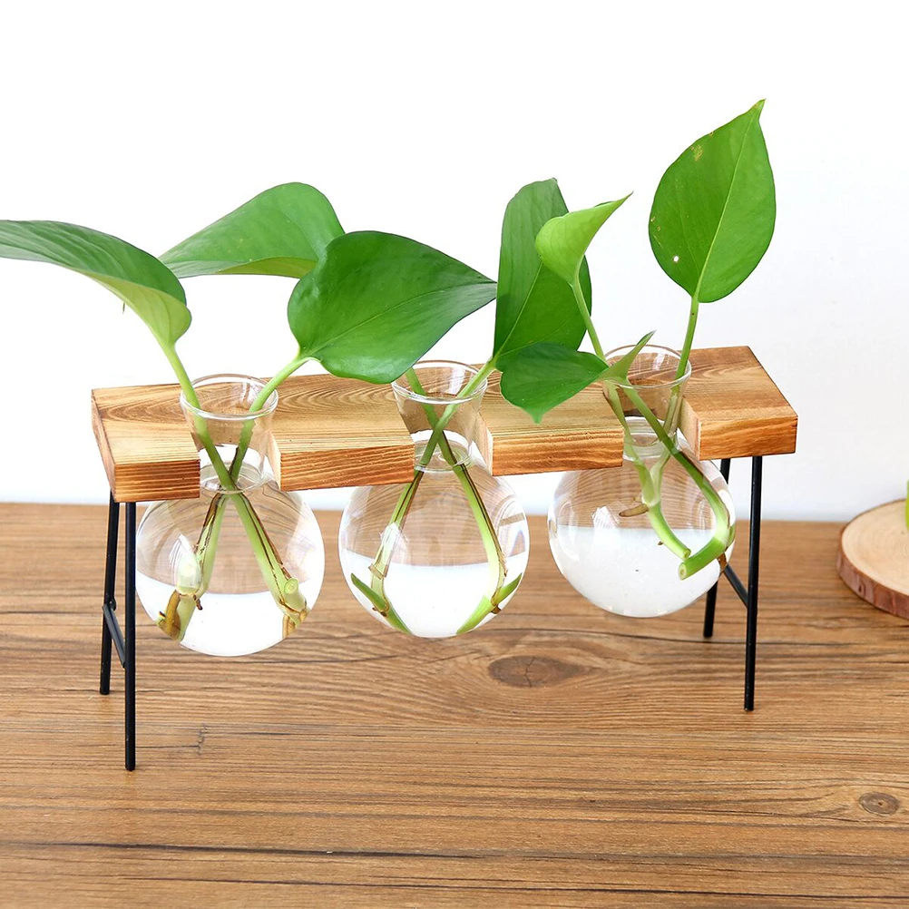 Hydroponic Vase Glass Planter Bulb Decorate Round Pots Bamboo Wooden Frame Plants Transparent Vases
Hydroponic Vase Glass Planter Bulb Decorate Round Pots Bamboo Wooden Frame Plants Transparent Vases