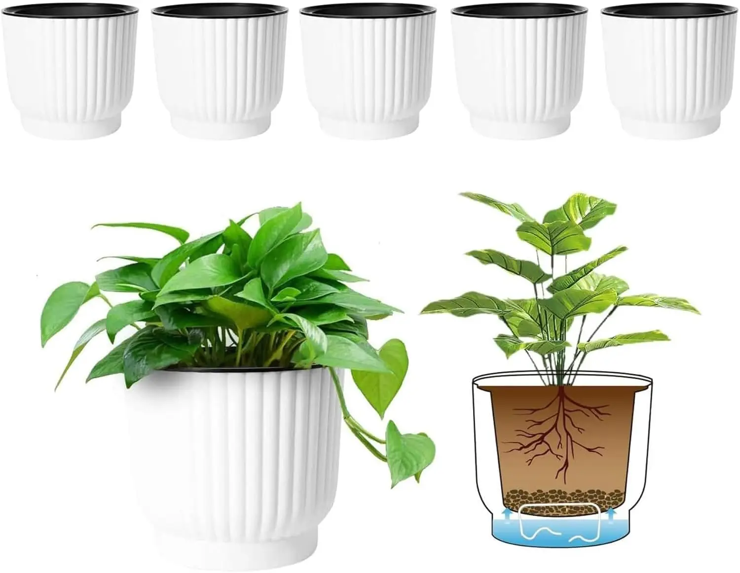 Self-Watering Plant Pots 6-Pack, 4.5 Inch, White - Ideal for African Violets & Succulents
Self-Watering Plant Pots 6-Pack, 4.5 Inch, White - Ideal for African Violets & Succulents