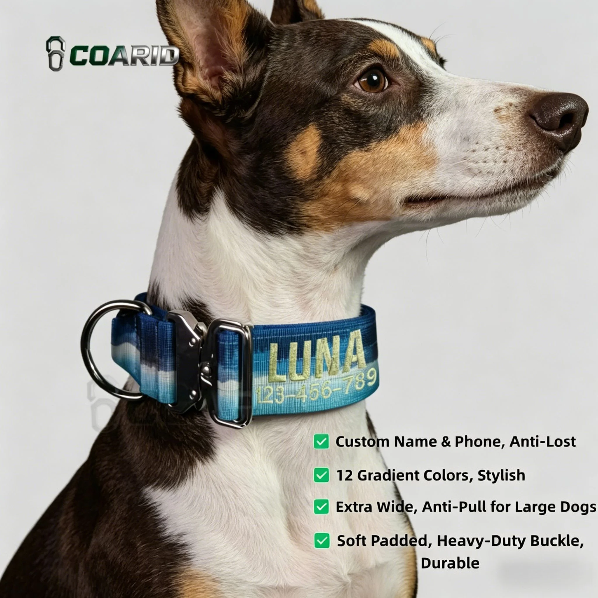 Custom Embroidered Dog Collar, Personalized Name & Phone Number, Durable Nylon Pet ID Collar, Anti-Lost for All Dog Breeds
Custom Embroidered Dog Collar, Personalized Name & Phone Number, Durable Nylon Pet ID Collar, Anti-Lost for All Dog Breeds