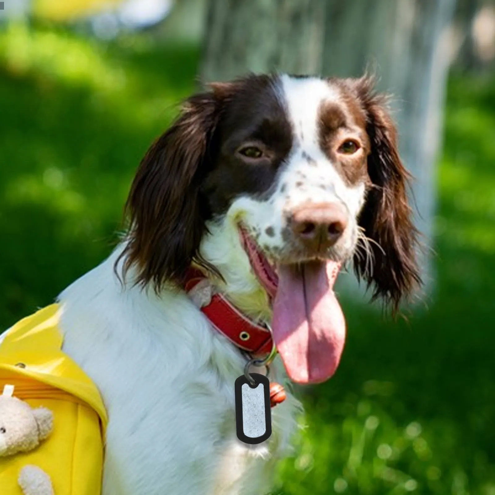 12Pcs Military Dog Tag Silicone Covers Retro Color Protective Case Quiet Fit Military Id Tag Silencers Engraved Dog Tags
12Pcs Military Dog Tag Silicone Covers Retro Color Protective Case Quiet Fit Military Id Tag Silencers Engraved Dog Tags