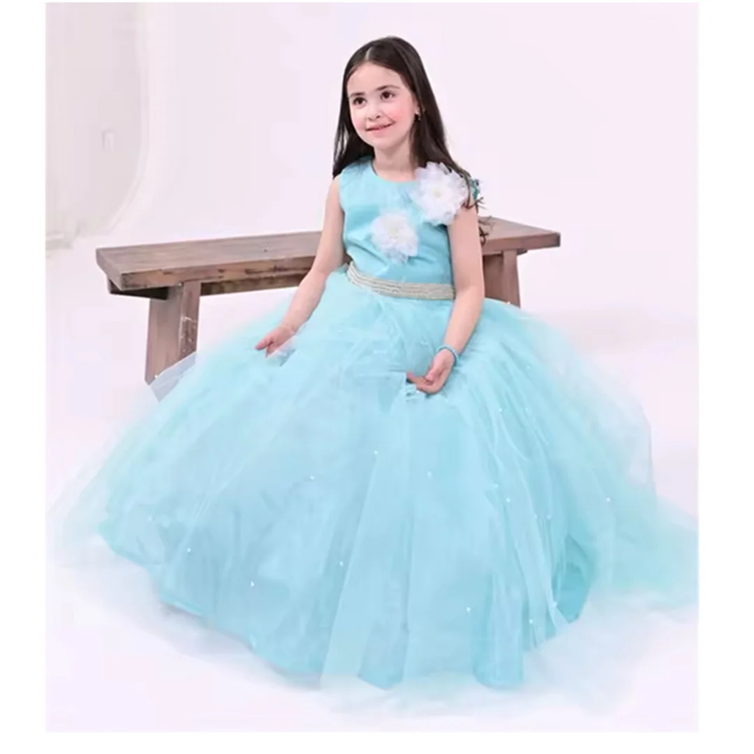 Banquet Flower Girl Dress Lovely Blue Type fluffy Sticker For Wedding Tulle Shiny Kids Birthday Gift Party Communion Ball
Banquet Flower Girl Dress Lovely Blue Type fluffy Sticker For Wedding Tulle Shiny Kids Birthday Gift Party Communion Ball
