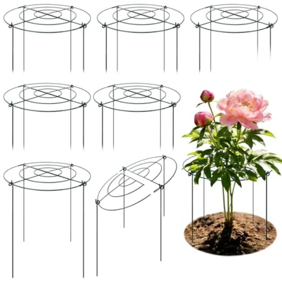 Outdoor plant support cages for peonies roses tomatoes heavy duty galvanized steel silver 8 pack 16.5 x 20 inch
Outdoor plant support cages for peonies roses tomatoes heavy duty galvanized steel silver 8 pack 16.5 x 20 inch