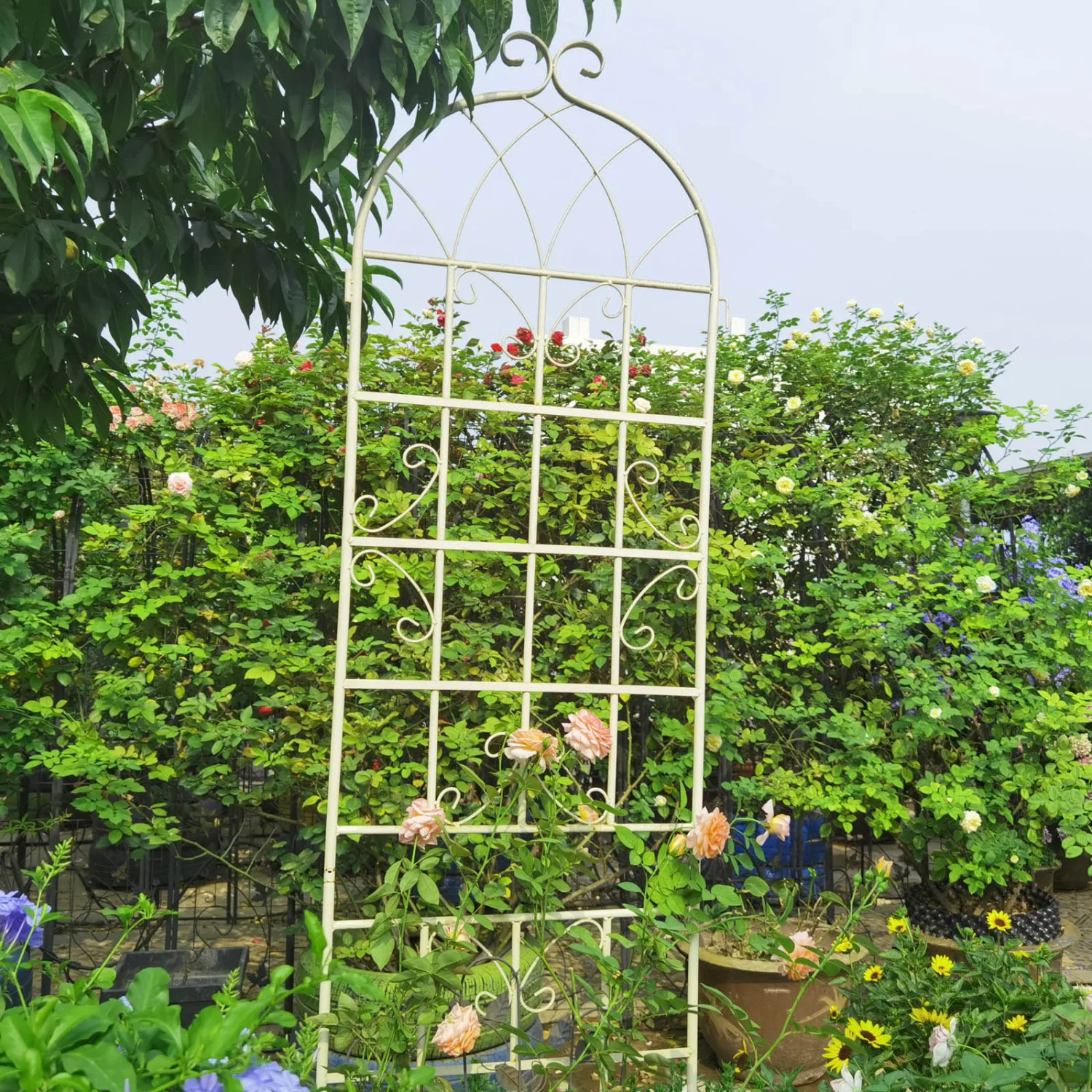 2 Pack Metal Garden Trellis 86.7" x 19.7" Rustproof Trellis for Climbing Plants Outdoor Flower Support Cream White
2 Pack Metal Garden Trellis 86.7" x 19.7" Rustproof Trellis for Climbing Plants Outdoor Flower Support Cream White
