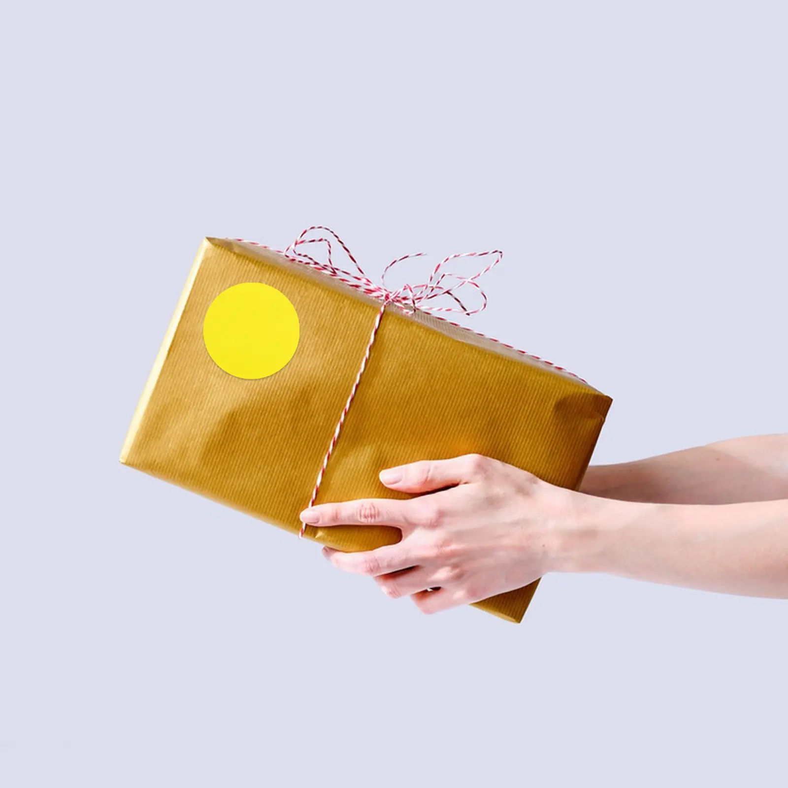 2 Rolls Colored Circle Thermal Labels Vibrant Fade Resistant Waterproof Self Adhesive Round Stickers for Printer Labeling
2 Rolls Colored Circle Thermal Labels Vibrant Fade Resistant Waterproof Self Adhesive Round Stickers for Printer Labeling