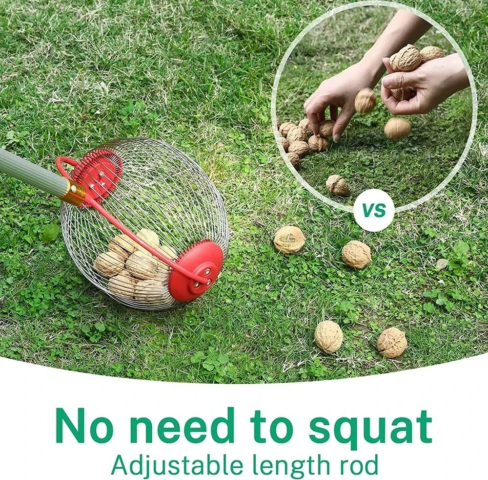 Распродажа! Прочный стальной садовый инструмент с длинной ручкой для сбора фруктов и орехов
Распродажа! Прочный стальной садовый инструмент с длинной ручкой для сбора фруктов и орехов