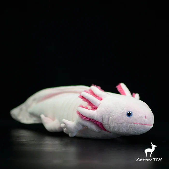 Self-service shopping without customer service - original simulation American salamander plush toy doll hexagonal dinosaur doll
Self-service shopping without customer service - original simulation American salamander plush toy doll hexagonal dinosaur doll