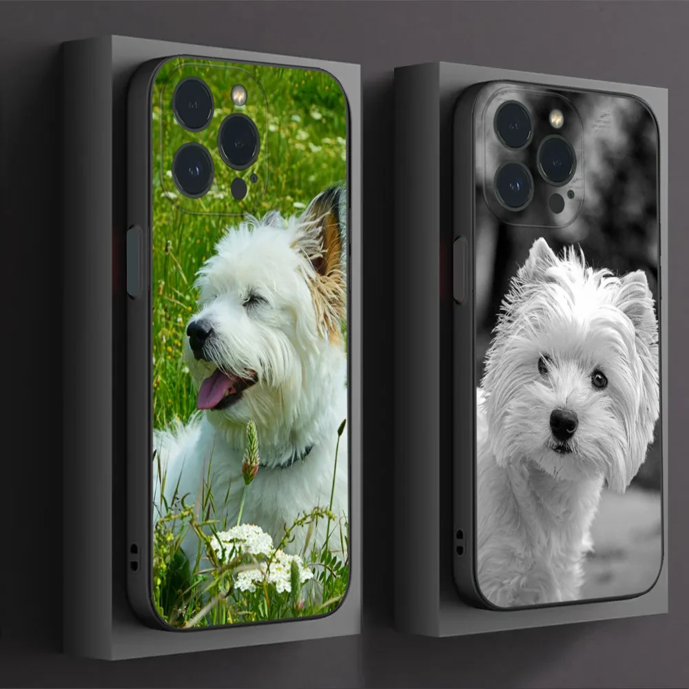 West Highland Terrier Westie Phone Case For IPhone16 15 14 13 12 Mini 11 Pro XS Max X XR SE5 6 7 8 Plus Soft Silicone Cover
West Highland Terrier Westie Phone Case For IPhone16 15 14 13 12 Mini 11 Pro XS Max X XR SE5 6 7 8 Plus Soft Silicone Cover