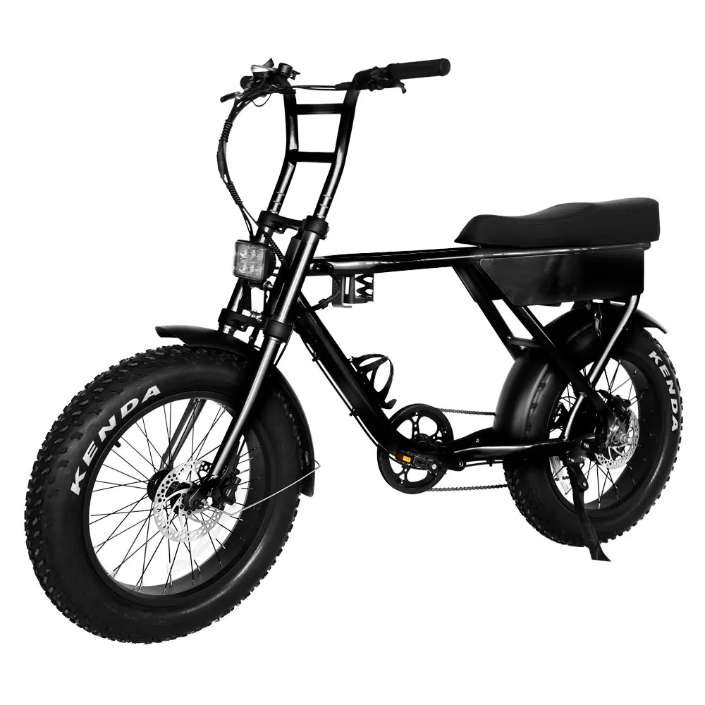 City fat bike 48v 250w
City fat bike 48v 250w