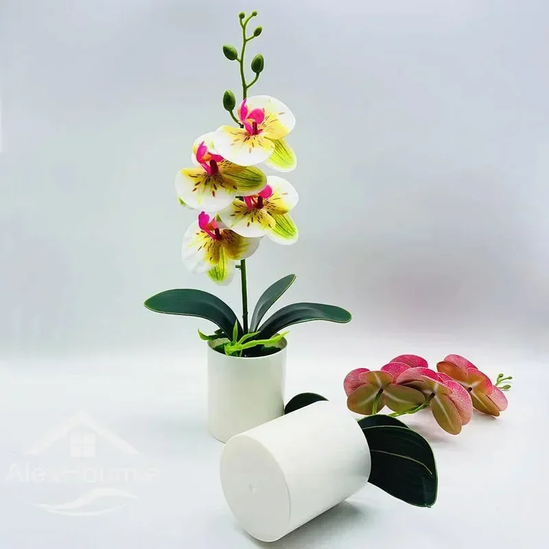 Artificial Bonsai Indoor Fake Phalaenopsis Bonsai Faux Potted Plant Plastic Flowers Bonsai for Office Wedding Party Indoor Decor
Artificial Bonsai Indoor Fake Phalaenopsis Bonsai Faux Potted Plant Plastic Flowers Bonsai for Office Wedding Party Indoor Decor