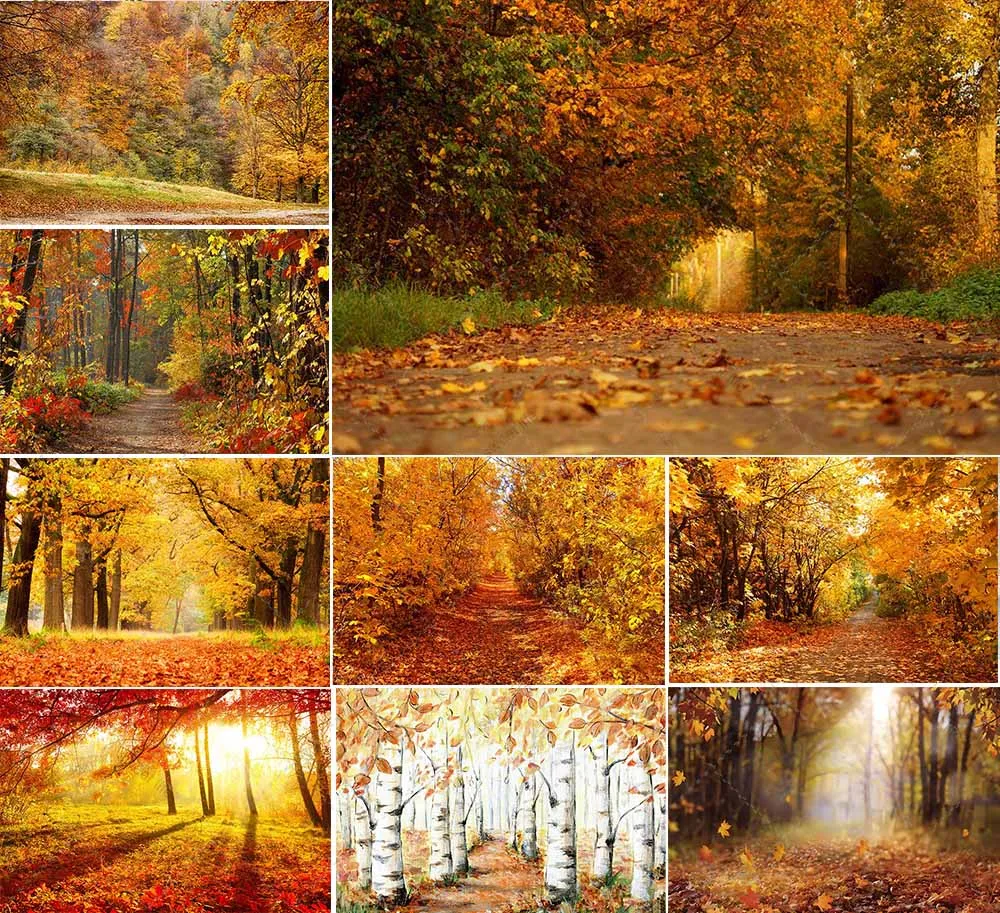 Autumn Yellow Leaves Photography Backgrounds Fall Forest Natural Scenery Wedding Photo Backdrop 
Autumn Yellow Leaves Photography Backgrounds Fall Forest Natural Scenery Wedding Photo Backdrop