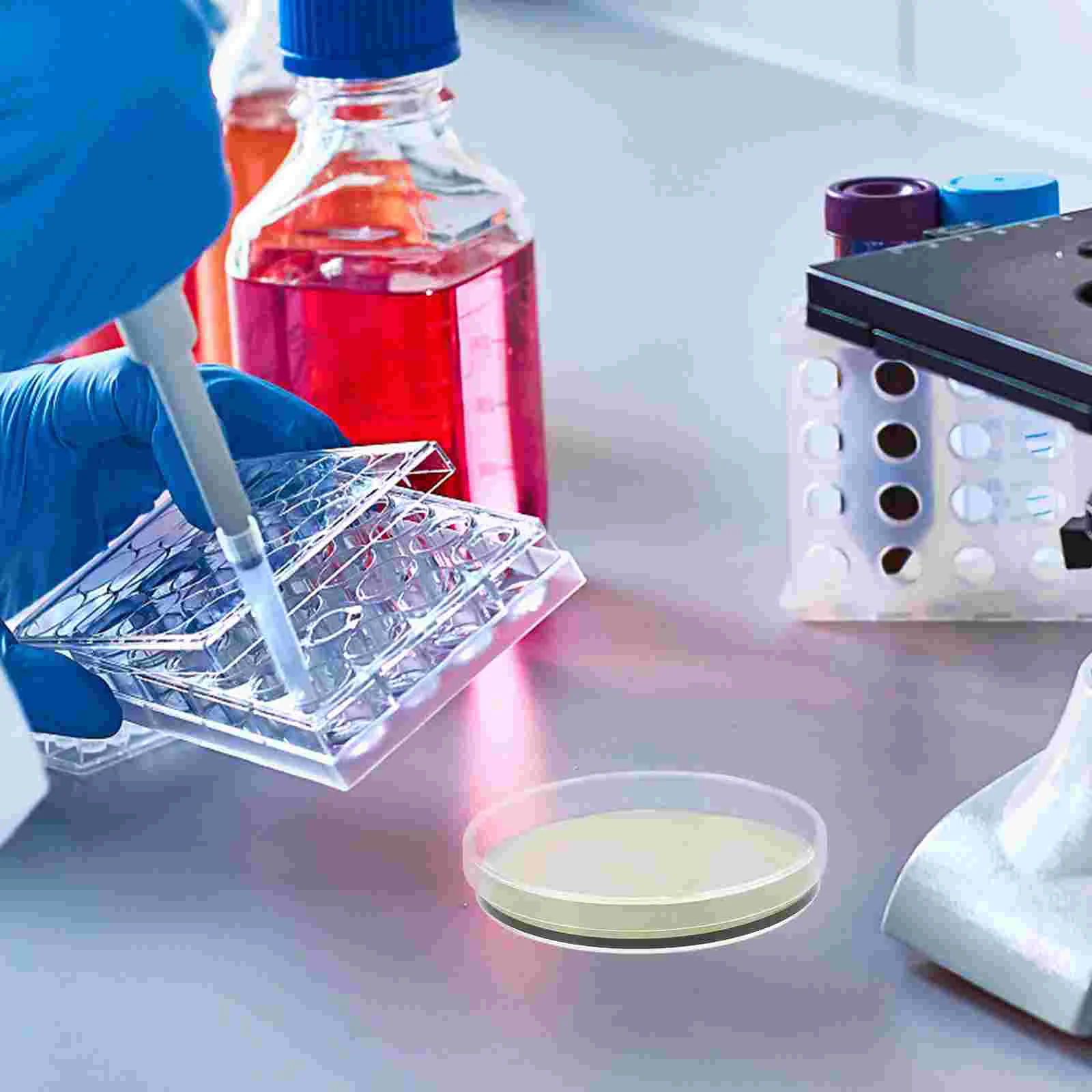 10 Pcs Agar Test Kit Portable Plate Plates Consumables Finished Product Petri Dish for Laboratory Plastic Supplies 
10 Pcs Agar Test Kit Portable Plate Plates Consumables Finished Product Petri Dish for Laboratory Plastic Supplies