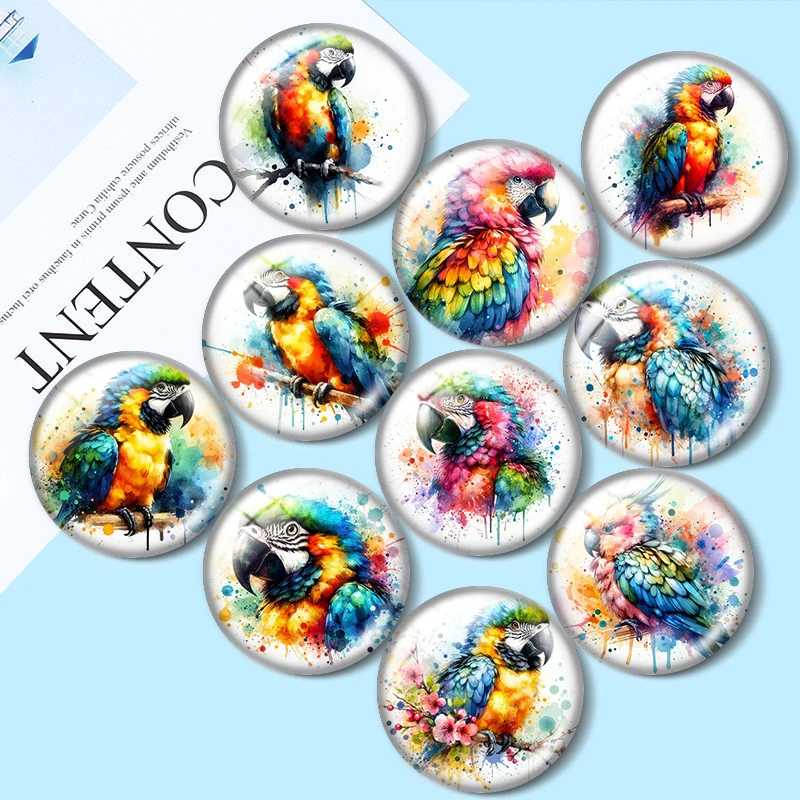 Watercolor Parrot Clip Art 10pcs 12mm/18mm/20mm/25mm Round photo glass cabochon flat back Making findings for bracelets
Watercolor Parrot Clip Art 10pcs 12mm/18mm/20mm/25mm Round photo glass cabochon flat back Making findings for bracelets