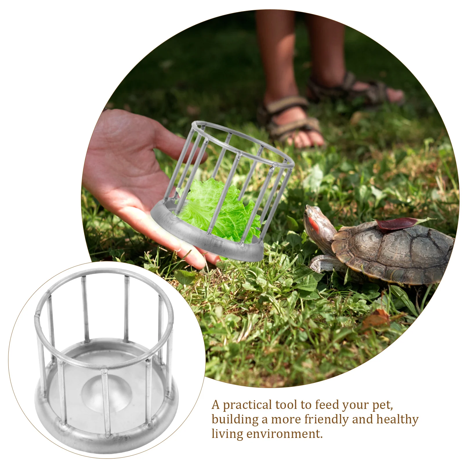 Stainless Steel Feeding Bowl for Reptiles Durable Food Container Suitable for Tortoise Lizards Small Animals Pet Supplies
Stainless Steel Feeding Bowl for Reptiles Durable Food Container Suitable for Tortoise Lizards Small Animals Pet Supplies
