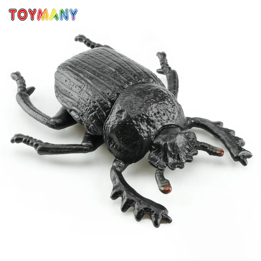Toymany Simulation Insect & Dung Beetle Animal Model Toy Mini Figures Dolls Action Figurines Toys Children Gift Cake Decor
Toymany Simulation Insect & Dung Beetle Animal Model Toy Mini Figures Dolls Action Figurines Toys Children Gift Cake Decor
