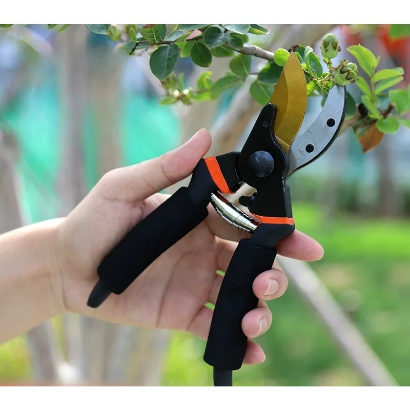 1pcs Professional SK5 Steel Pruning Shears Effortless Gardening Scissors for Thick Branches Non-Slip Handle Orchard Tools
1pcs Professional SK5 Steel Pruning Shears Effortless Gardening Scissors for Thick Branches Non-Slip Handle Orchard Tools
