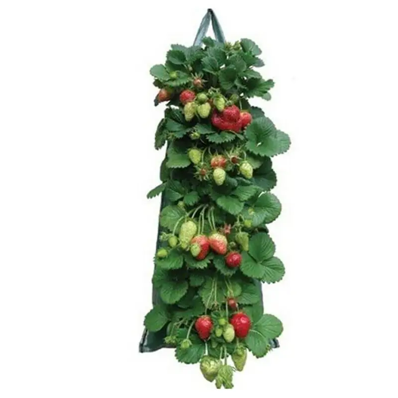 Hanging Grow Bag Strawberry Flower Planter Pots Vertical Garden Vegetable Planting Pots Indoor Outdoor Garden Accessories
Hanging Grow Bag Strawberry Flower Planter Pots Vertical Garden Vegetable Planting Pots Indoor Outdoor Garden Accessories