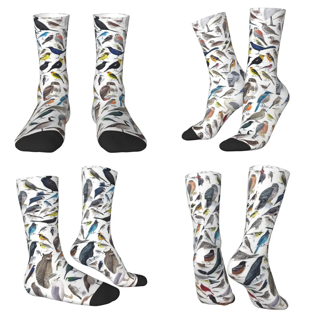 Bird Illustration Pattern Socks Harajuku High Quality Stockings All Season Long Socks Accessories for Unisex Christmas Gifts
Bird Illustration Pattern Socks Harajuku High Quality Stockings All Season Long Socks Accessories for Unisex Christmas Gifts