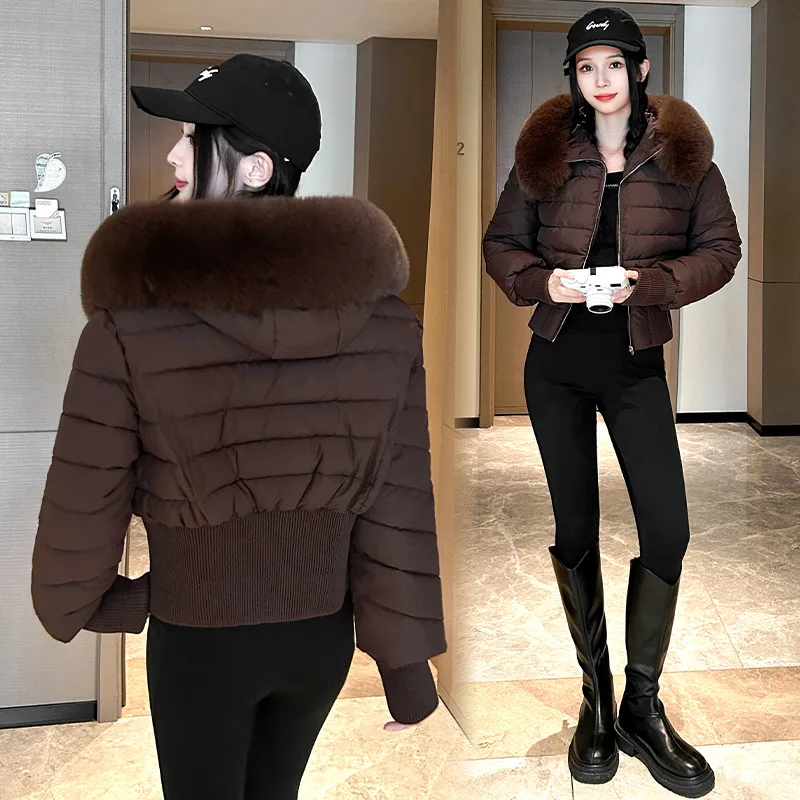 High-waisted European Short Cotton Padded Parkas Coat 2025 Winter New Removing Cap Warm Cotton Jacket Hooded Fashion Outwear Top
High-waisted European Short Cotton Padded Parkas Coat 2025 Winter New Removing Cap Warm Cotton Jacket Hooded Fashion Outwear Top