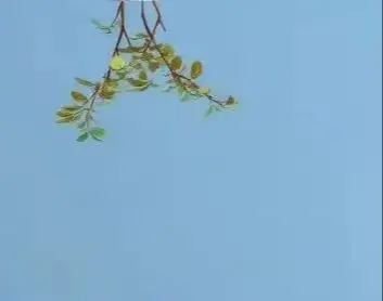 36V 7800mAh battery suitable for Xiaomi M365 M356 Pro dedicated battery pack 36V lithium-ion battery
36V 7800mAh battery suitable for Xiaomi M365 M356 Pro dedicated battery pack 36V lithium-ion battery