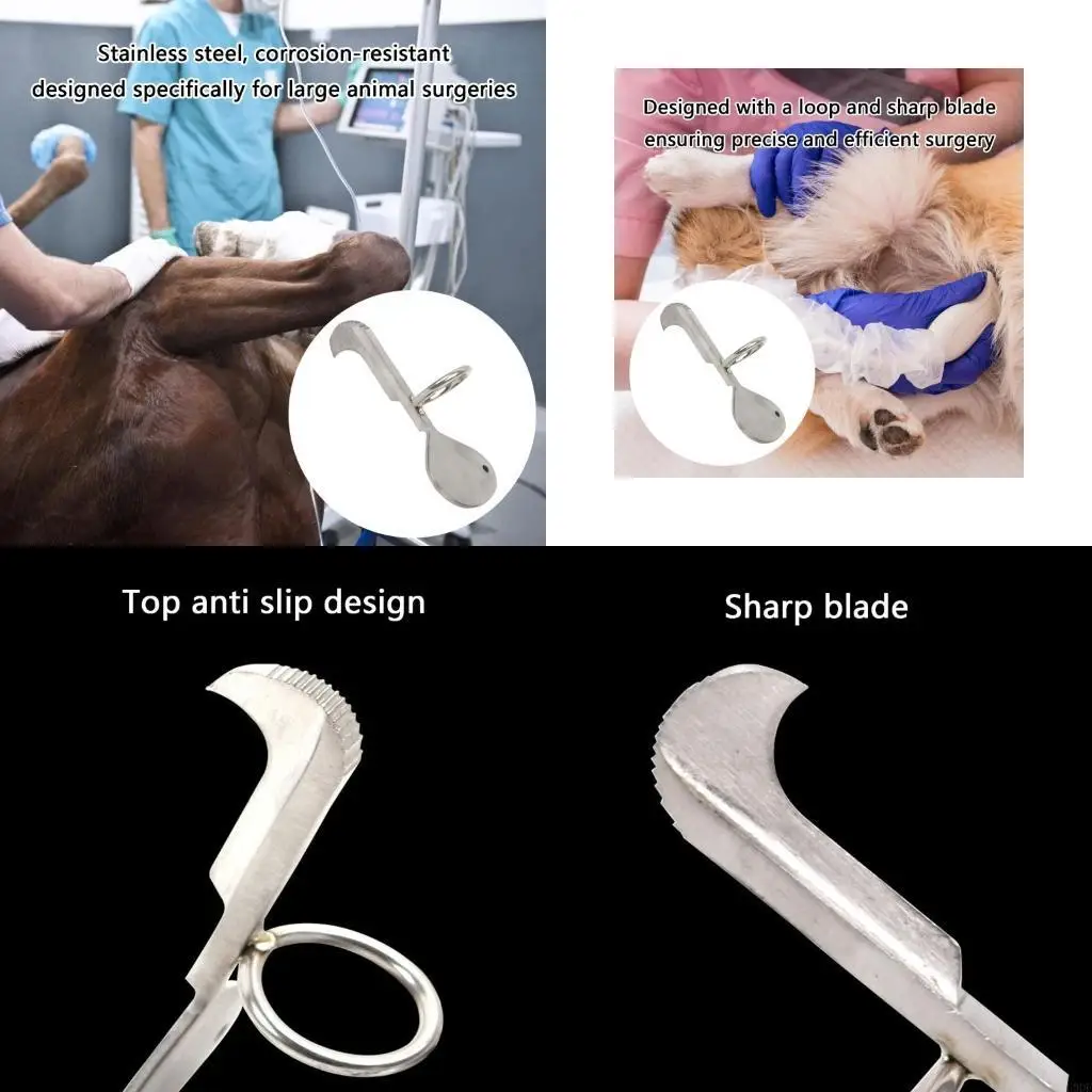 Veterinary Finger Cutter With Ergonomic Design Curettage Tool For Large Animals
Veterinary Finger Cutter With Ergonomic Design Curettage Tool For Large Animals