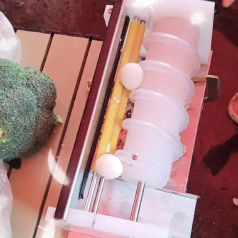 Manual Quail eggs peeling machine Quail eggs automatic peeling machine small Boiled Quail Egg Peeler Bird Egg Peeling Equipment
Manual Quail eggs peeling machine Quail eggs automatic peeling machine small Boiled Quail Egg Peeler Bird Egg Peeling Equipment