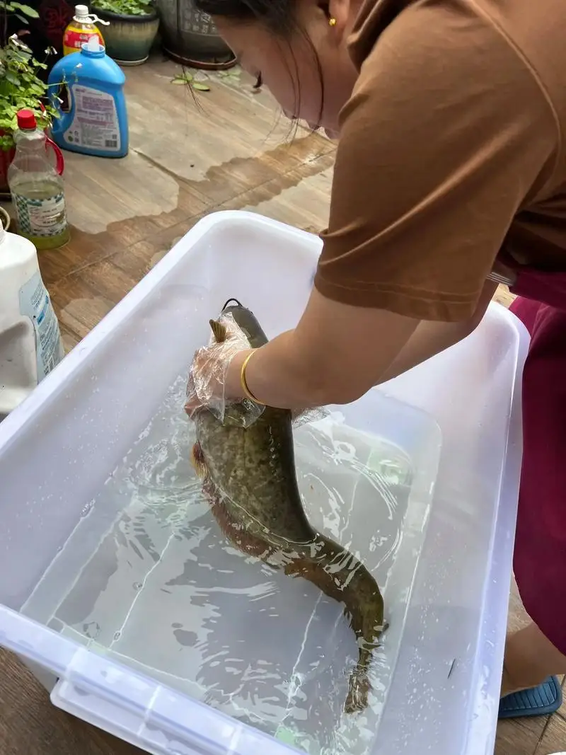 53338 Wheel Tire Cementing Helper Tool Rubber Tire Mounting Glue Tools for 1/10 Touring Off-Road Racing RC Car Parts OP-338
53338 Wheel Tire Cementing Helper Tool Rubber Tire Mounting Glue Tools for 1/10 Touring Off-Road Racing RC Car Parts OP-338