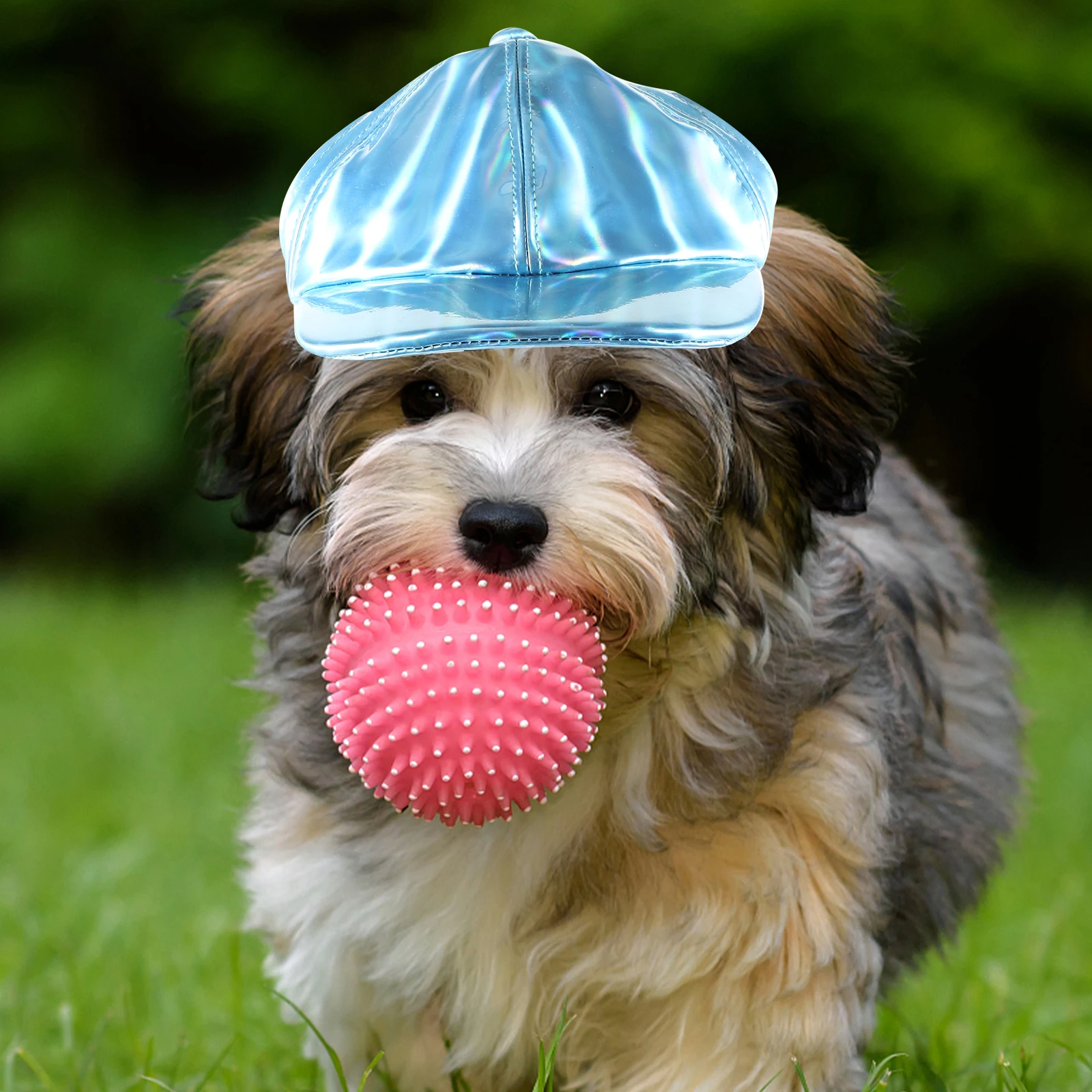 Pet Dog Hats Decorative Puppy Hat Compact Stylish Fashionable Wear Resistant Outdoor Dog Accessories
Pet Dog Hats Decorative Puppy Hat Compact Stylish Fashionable Wear Resistant Outdoor Dog Accessories