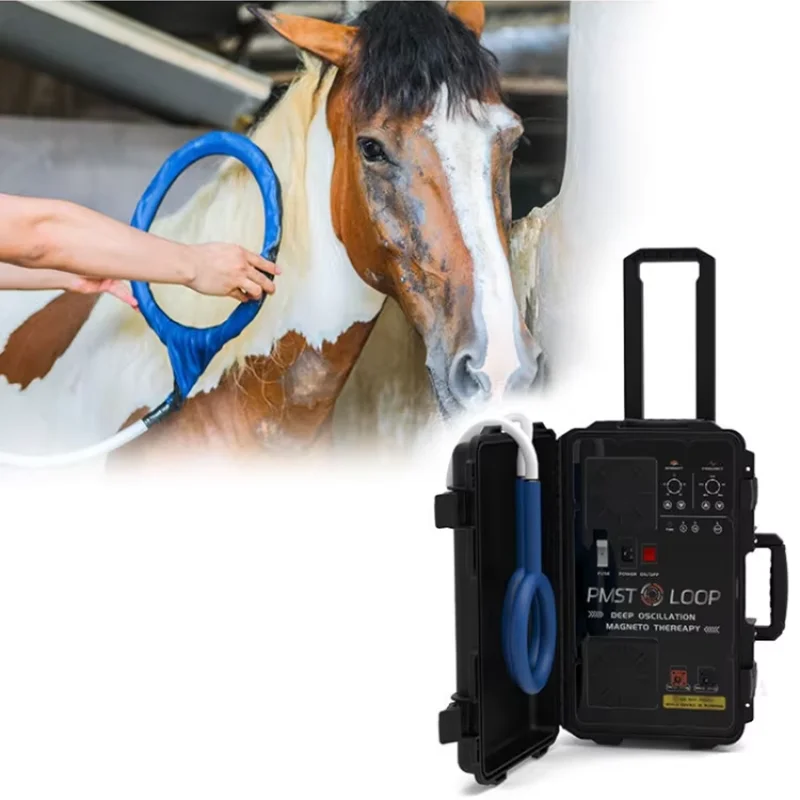 PMST Pulsed Electromagnetic Therapy Device for Horses, PEMF With Single Loop And Butterfly Loop PMST PEMF Therapy Machine
PMST Pulsed Electromagnetic Therapy Device for Horses, PEMF With Single Loop And Butterfly Loop PMST PEMF Therapy Machine