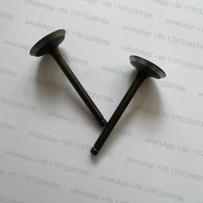 1Set I7 E7 VALVE IN & EX. SET FOR ROBIN SUBARU EX17 EX21 INTAKE EXHAUST INLET OUTLET 20A-33401-03 20A-33501-03
1Set I7 E7 VALVE IN & EX. SET FOR ROBIN SUBARU EX17 EX21 INTAKE EXHAUST INLET OUTLET 20A-33401-03 20A-33501-03