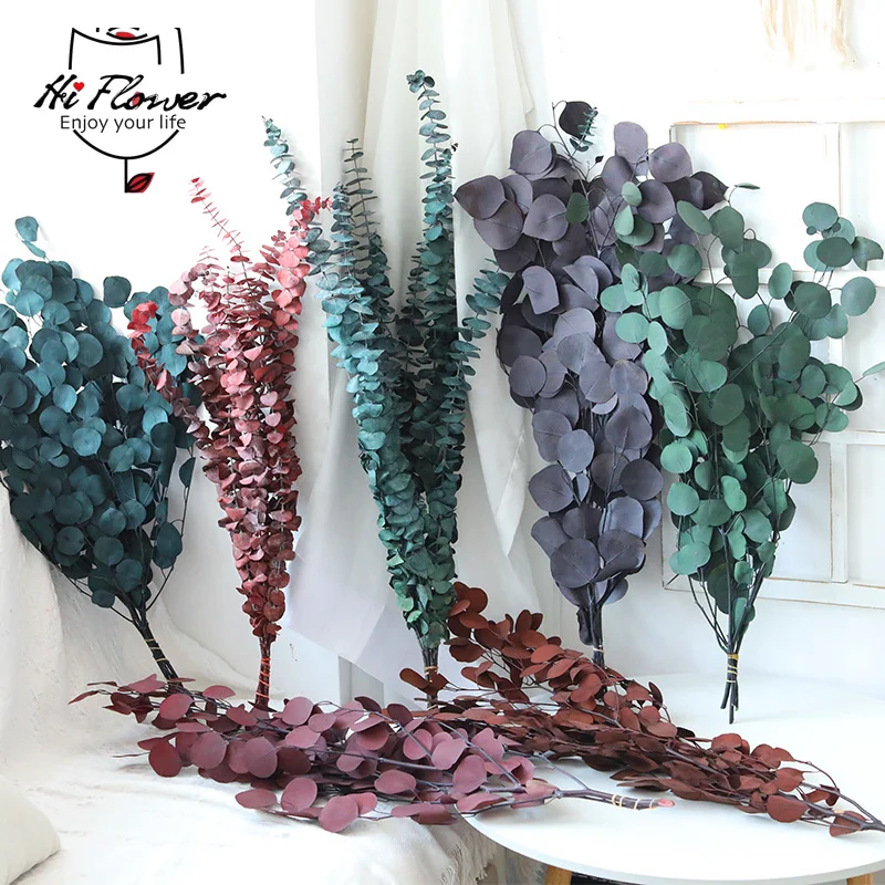 100g natural Dried Flower Preserved Eucalyptus Apple Leaf Grass Bohemian Real Plant Living Room Wedding Decoration Home Decor
100g natural Dried Flower Preserved Eucalyptus Apple Leaf Grass Bohemian Real Plant Living Room Wedding Decoration Home Decor