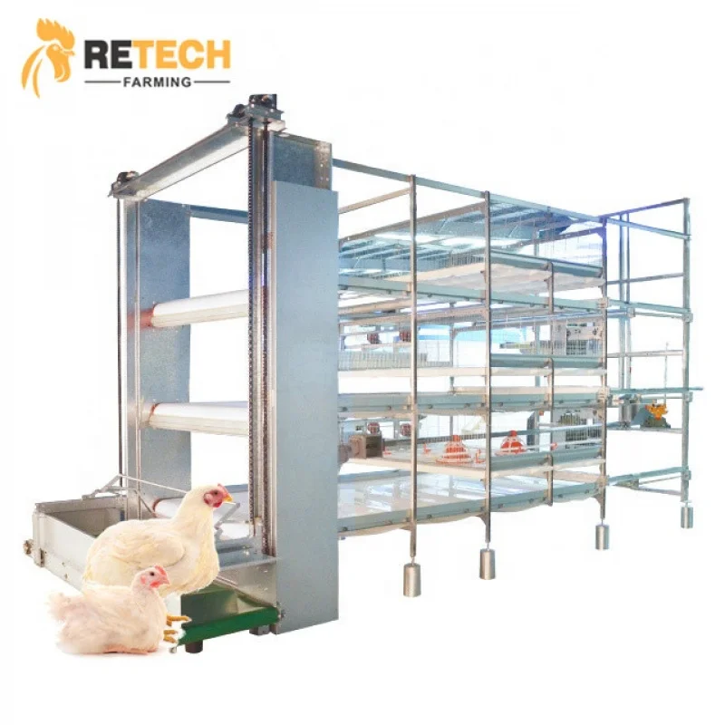 Автоматическое оборудование для кормления курицы на ферме птицы, бройлер
Автоматическое оборудование для кормления курицы на ферме птицы, бройлер