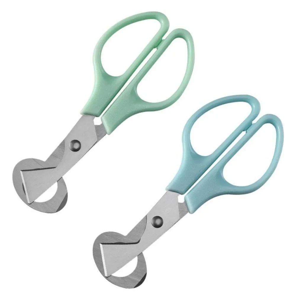 50pcs Kitchen Utility Small Tool Quail Egg Scissors Bird Stainless Steel Clipper Egg Opener
50pcs Kitchen Utility Small Tool Quail Egg Scissors Bird Stainless Steel Clipper Egg Opener
