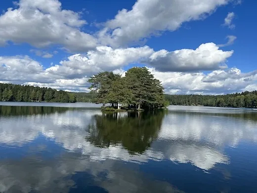 RC Truck Tires With Plastic Wheel Rims 12 14 17mm Hex for 1/10 Scale RC Car ARRMA 727 Losi
RC Truck Tires With Plastic Wheel Rims 12 14 17mm Hex for 1/10 Scale RC Car ARRMA 727 Losi