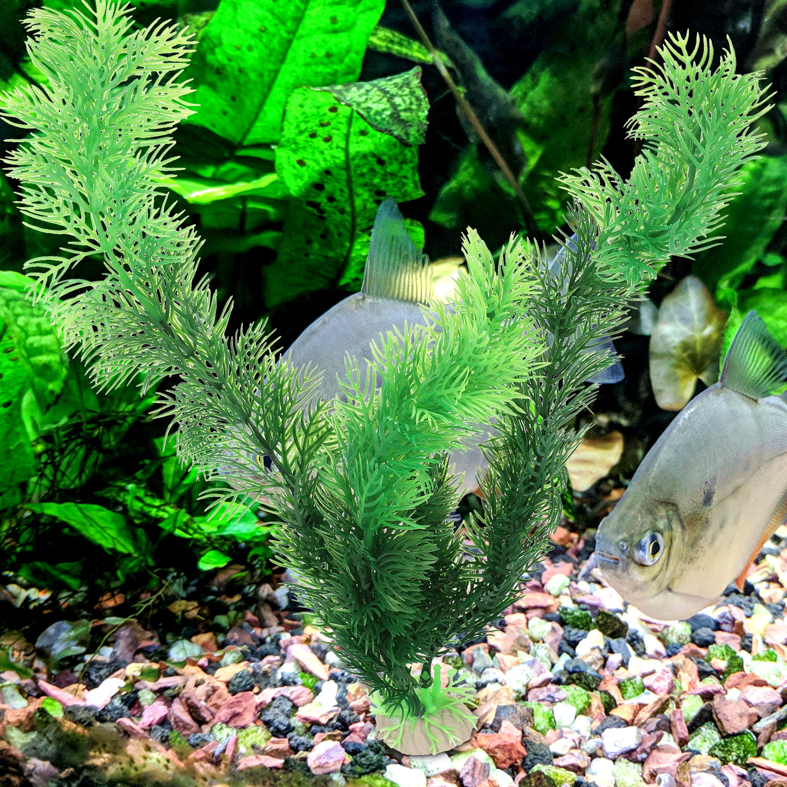 5pcs Simulation Water Grass Set Aquarium Artificial Plants Fish Tank Decorations Natural Style Aquatic Environment Aquarium
5pcs Simulation Water Grass Set Aquarium Artificial Plants Fish Tank Decorations Natural Style Aquatic Environment Aquarium
