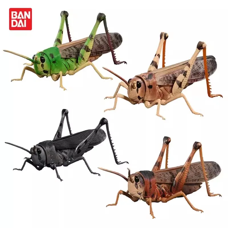 Bandai Original 4Pcs Gashapon トノサマバッタが アドバンス トノサマバッタToys For Kids Gift Collectible Model Ornaments
Bandai Original 4Pcs Gashapon トノサマバッタが アドバンス トノサマバッタToys For Kids Gift Collectible Model Ornaments
