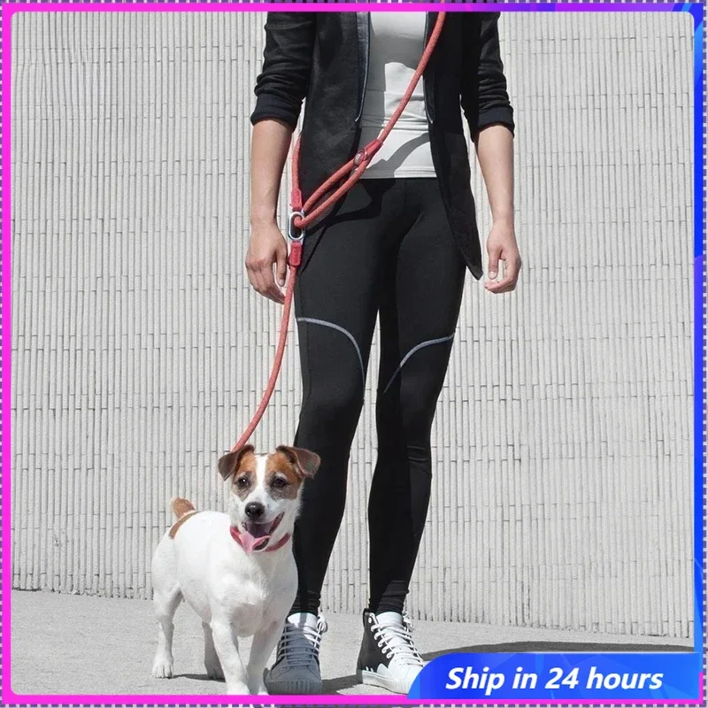 Pet Leash Multifunctional Dog Walking Leash Stretchable Elastic Explosion-Proof Punch Outdoor Running Dog Walking Leash
Pet Leash Multifunctional Dog Walking Leash Stretchable Elastic Explosion-Proof Punch Outdoor Running Dog Walking Leash