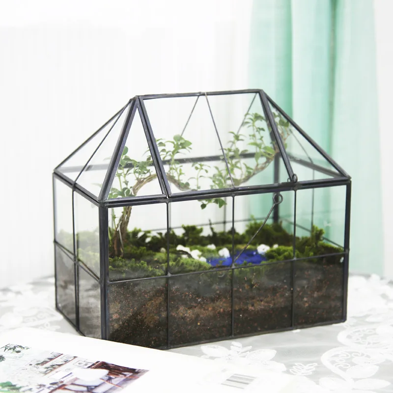 Glass Greenhouse Micro Landscape Decoration Transparent Glass Landscaping Flower Pot Container Creative Gardening
Glass Greenhouse Micro Landscape Decoration Transparent Glass Landscaping Flower Pot Container Creative Gardening