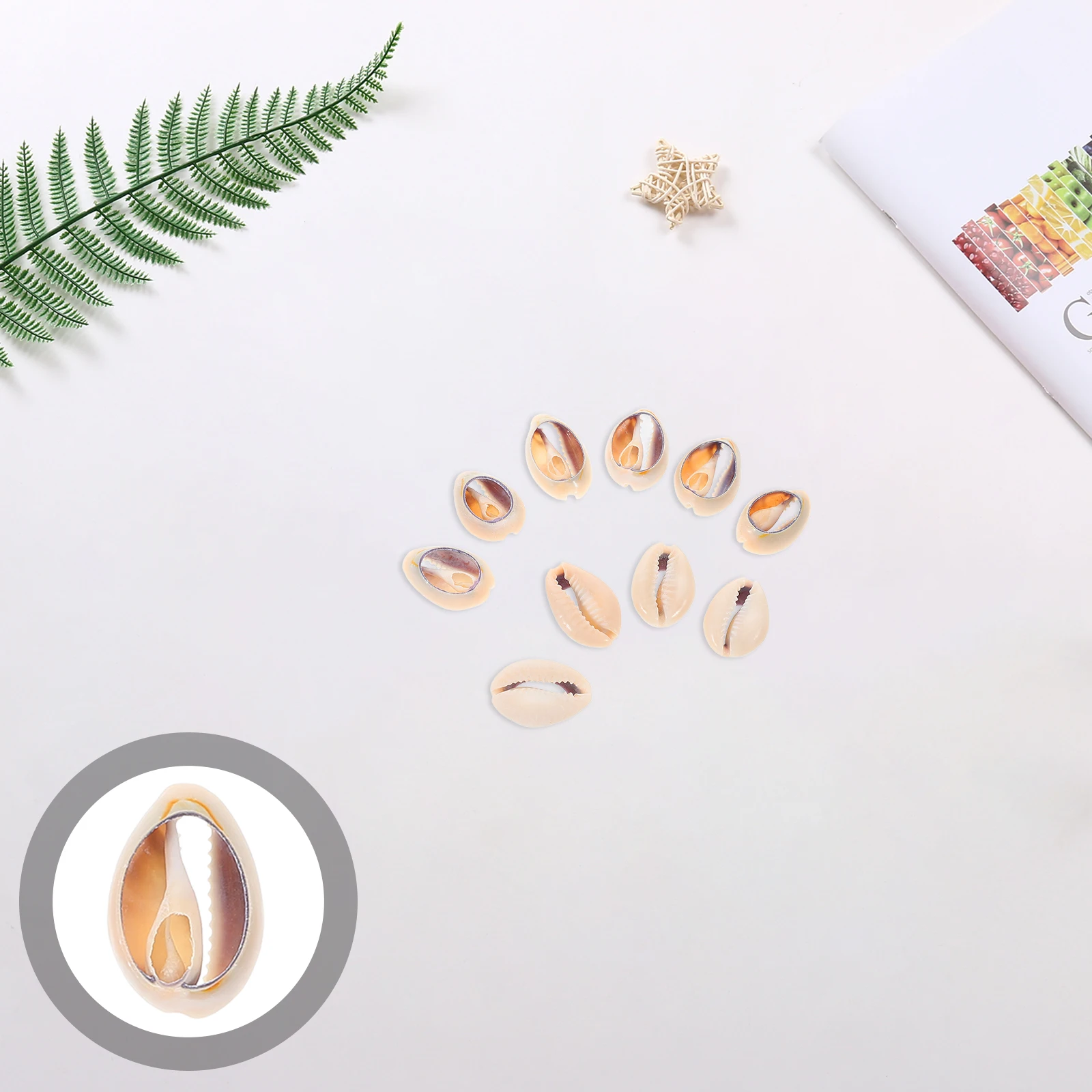 10pcs Seashell Slices for DIY Jewelry Crafts Charms Pendants Accessories Decor Hanging Shell Decor
10pcs Seashell Slices for DIY Jewelry Crafts Charms Pendants Accessories Decor Hanging Shell Decor