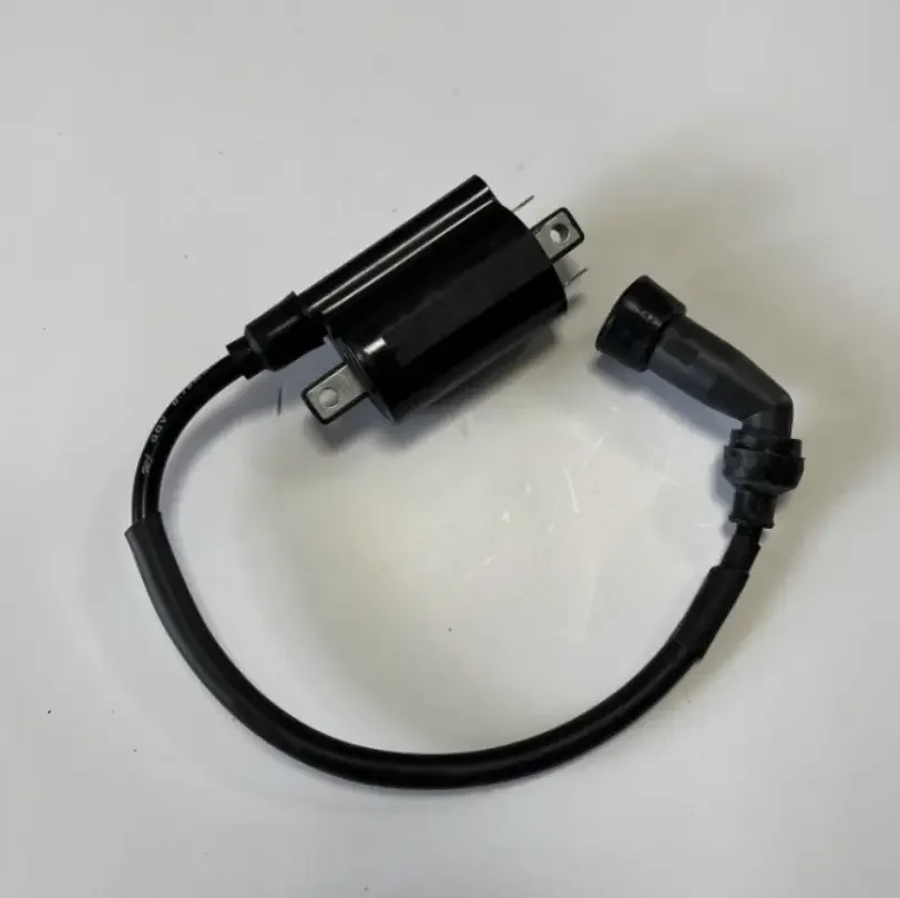 Напряжение катушки зажигания для мотоциклов Keeway Superlight Klight 125 200 202 QJ200-2H Q200-2G
Напряжение катушки зажигания для мотоциклов Keeway Superlight Klight 125 200 202 QJ200-2H Q200-2G