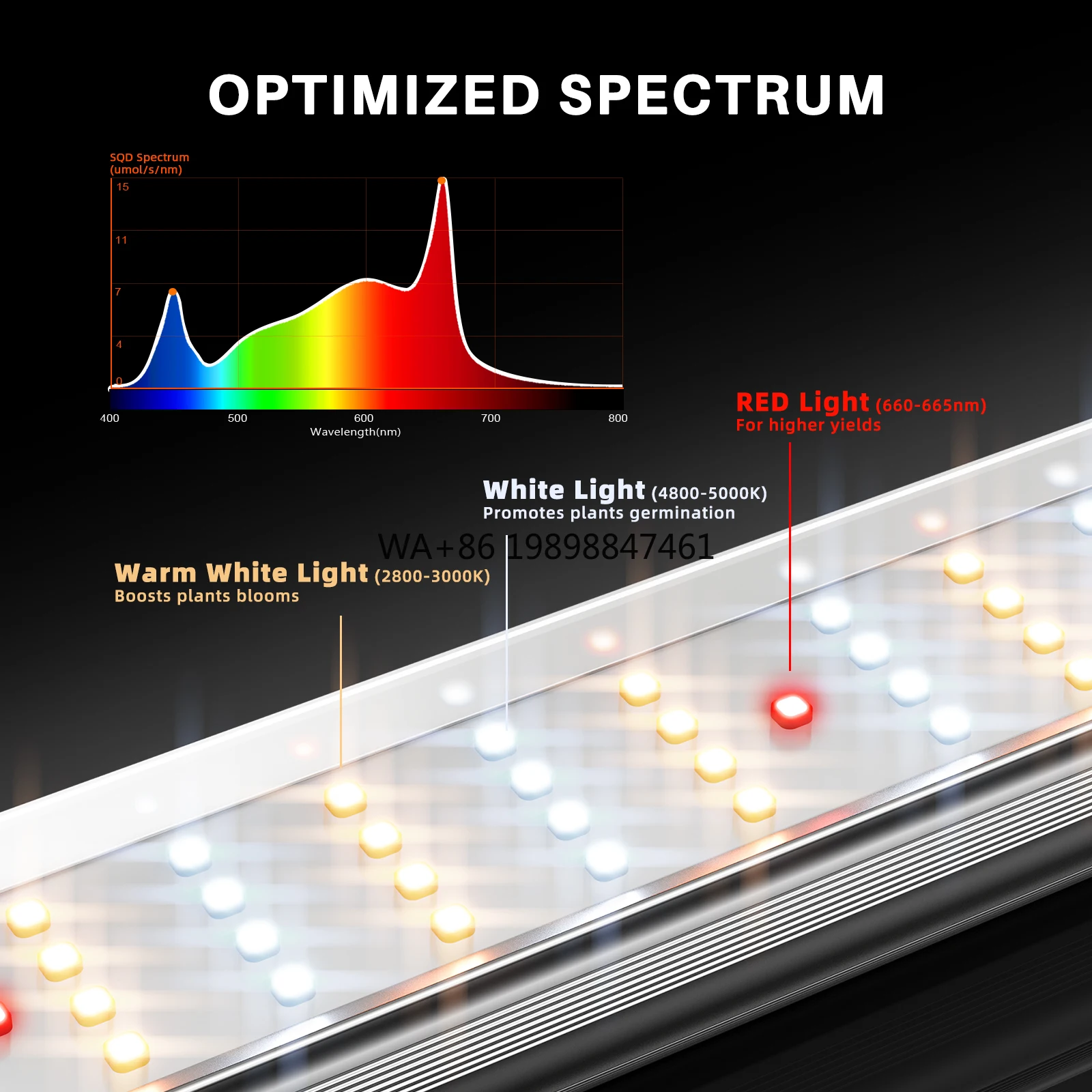 Smart APP Control 730W SE7000 Samsung LM301H EVO Led Grow Light Full Spectrum Commercial Grow Light
Smart APP Control 730W SE7000 Samsung LM301H EVO Led Grow Light Full Spectrum Commercial Grow Light