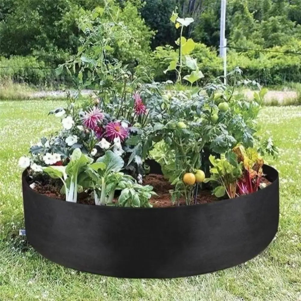 Home Supplies Felt Growth Bag Durable Wear-resistant Planting Bucket Round Resistant Dirt Planting Bag Vegetable
Home Supplies Felt Growth Bag Durable Wear-resistant Planting Bucket Round Resistant Dirt Planting Bag Vegetable