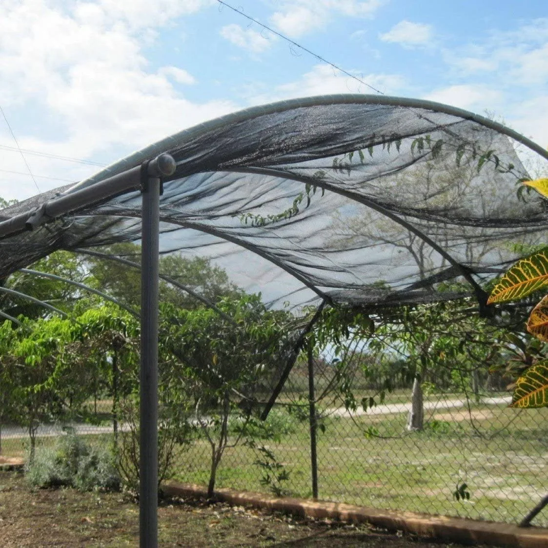 60% Black Shading Nets Rectangle Greenhouse Shade Cloth
60% Black Shading Nets Rectangle Greenhouse Shade Cloth