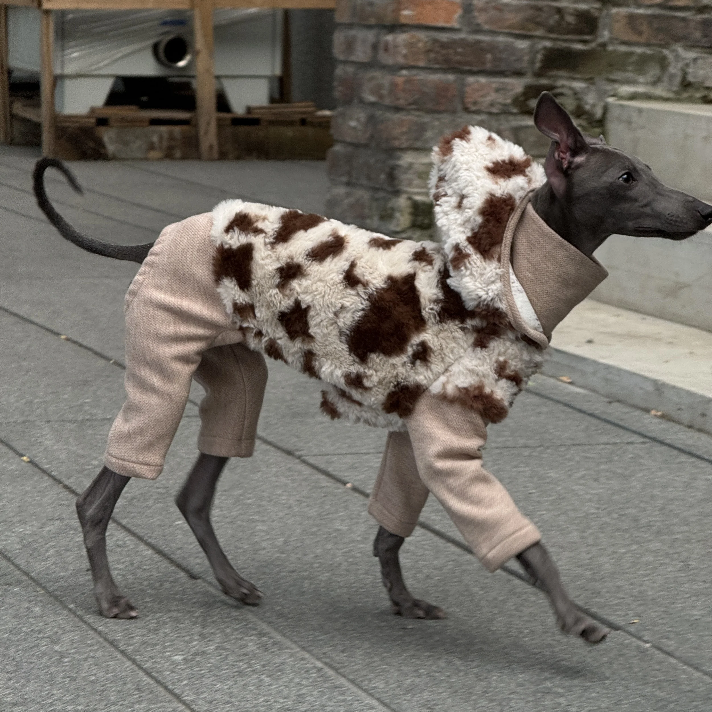 Hooded Leopard Sweater for Dogs in Winter Soft 4-legged False Two Fleece Coat for Greyhounds Warm High-neck Jumpsuit for Whippet
Hooded Leopard Sweater for Dogs in Winter Soft 4-legged False Two Fleece Coat for Greyhounds Warm High-neck Jumpsuit for Whippet