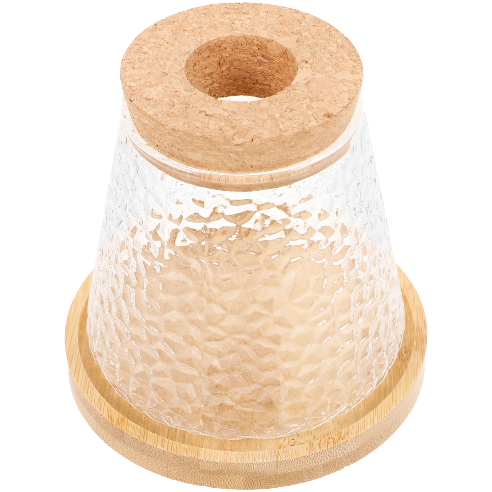 Hydroponic Plant Vase Clear Glass Avocado Sprouting Bottle Wood Cork Bamboo Stand Home Office Decor Succulent Planter
Hydroponic Plant Vase Clear Glass Avocado Sprouting Bottle Wood Cork Bamboo Stand Home Office Decor Succulent Planter