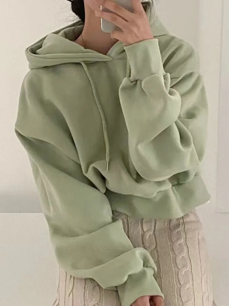5Candy colors Autumn winter 2023 Korean style Women Sweatshirts Basic thick warm Sweatshirt Womens pullovers(c8986)
5Candy colors Autumn winter 2023 Korean style Women Sweatshirts Basic thick warm Sweatshirt Womens pullovers(c8986)