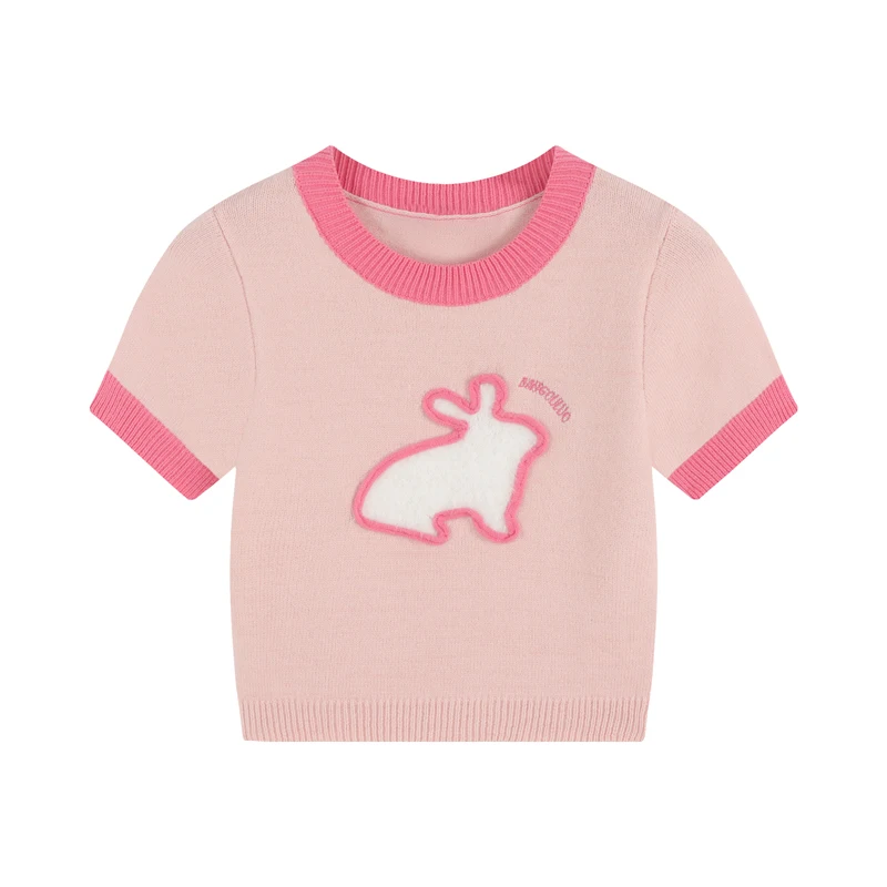 Pink Knitted Crop Top Women Kawaii Bunny Graphic T Shirt Korean Fashion Vintage Y2K Summer Short Sleeve Stretchy Tee Shirts
Pink Knitted Crop Top Women Kawaii Bunny Graphic T Shirt Korean Fashion Vintage Y2K Summer Short Sleeve Stretchy Tee Shirts