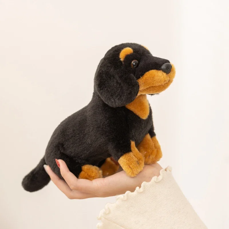 Cartoon Dachshund Stuffed Animal Soft Fluffy Weiner Dog Plush Toy Cute Realistic Dog Plushie for Dog Lovers Collection Gift
Cartoon Dachshund Stuffed Animal Soft Fluffy Weiner Dog Plush Toy Cute Realistic Dog Plushie for Dog Lovers Collection Gift